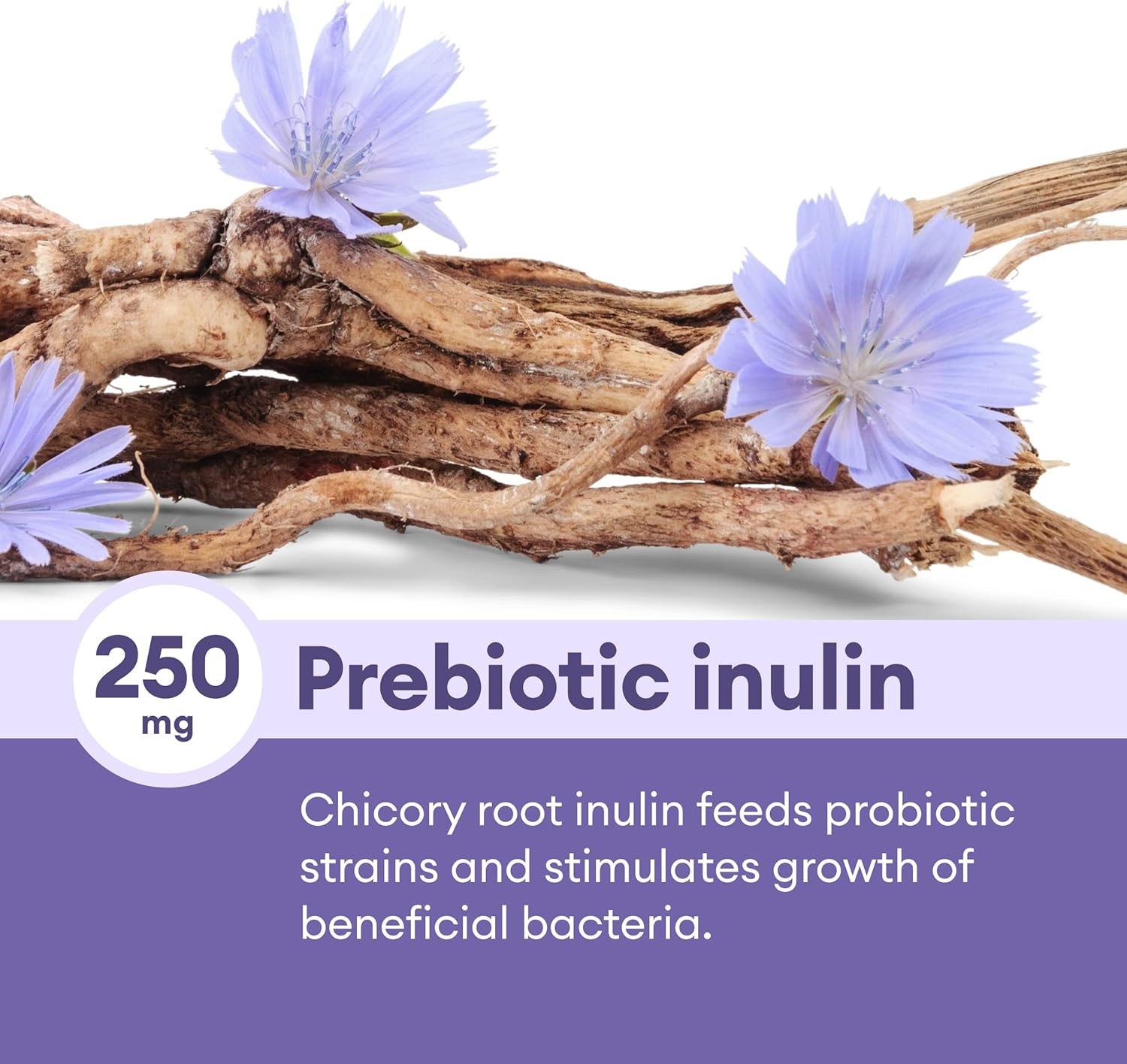 Physician's CHOICE Prebiotic-Probiotic - Multi-Strain Probio