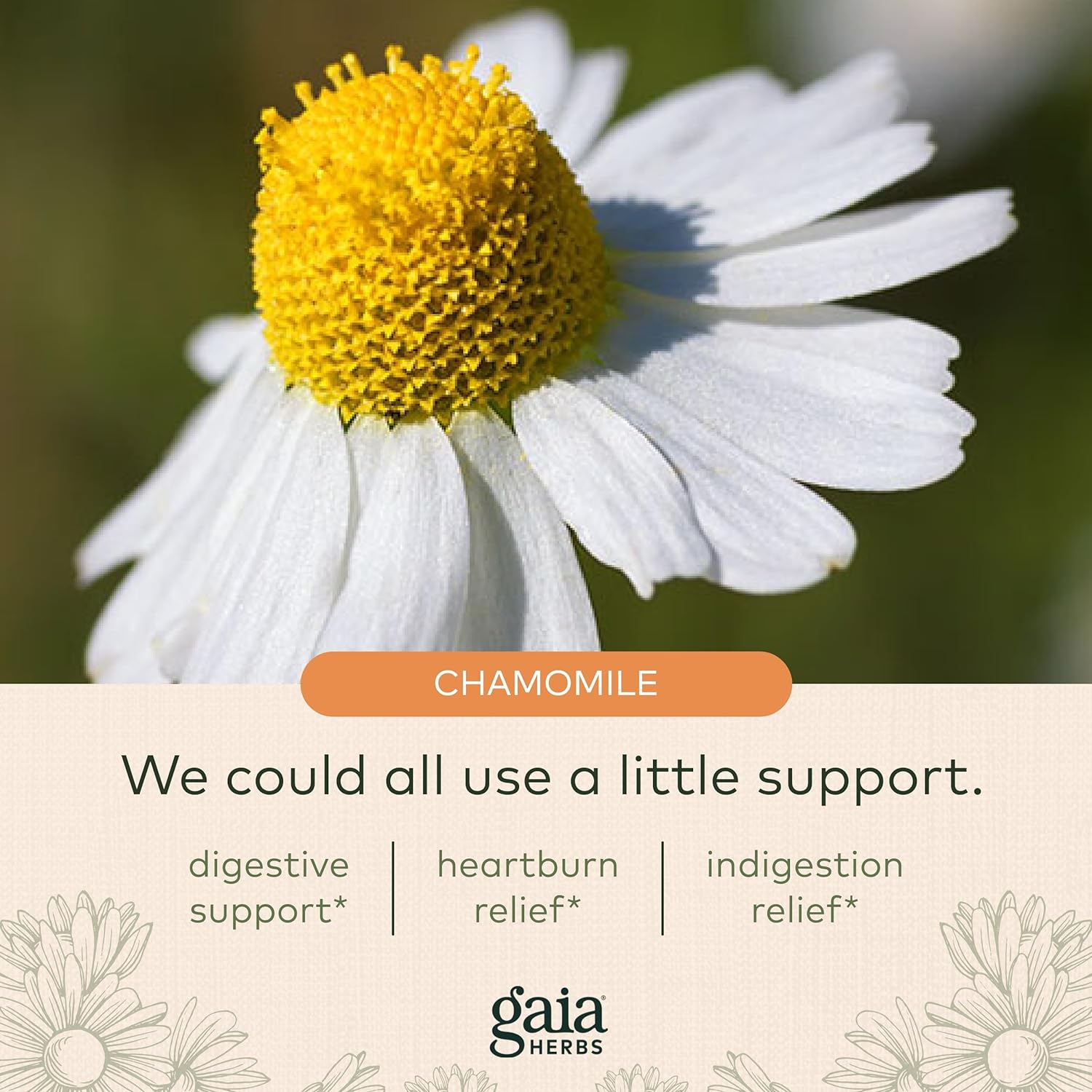 Gaia Herbs Reflux Relief - with Marshmallow Root, Chamomile, Aloe, Lic