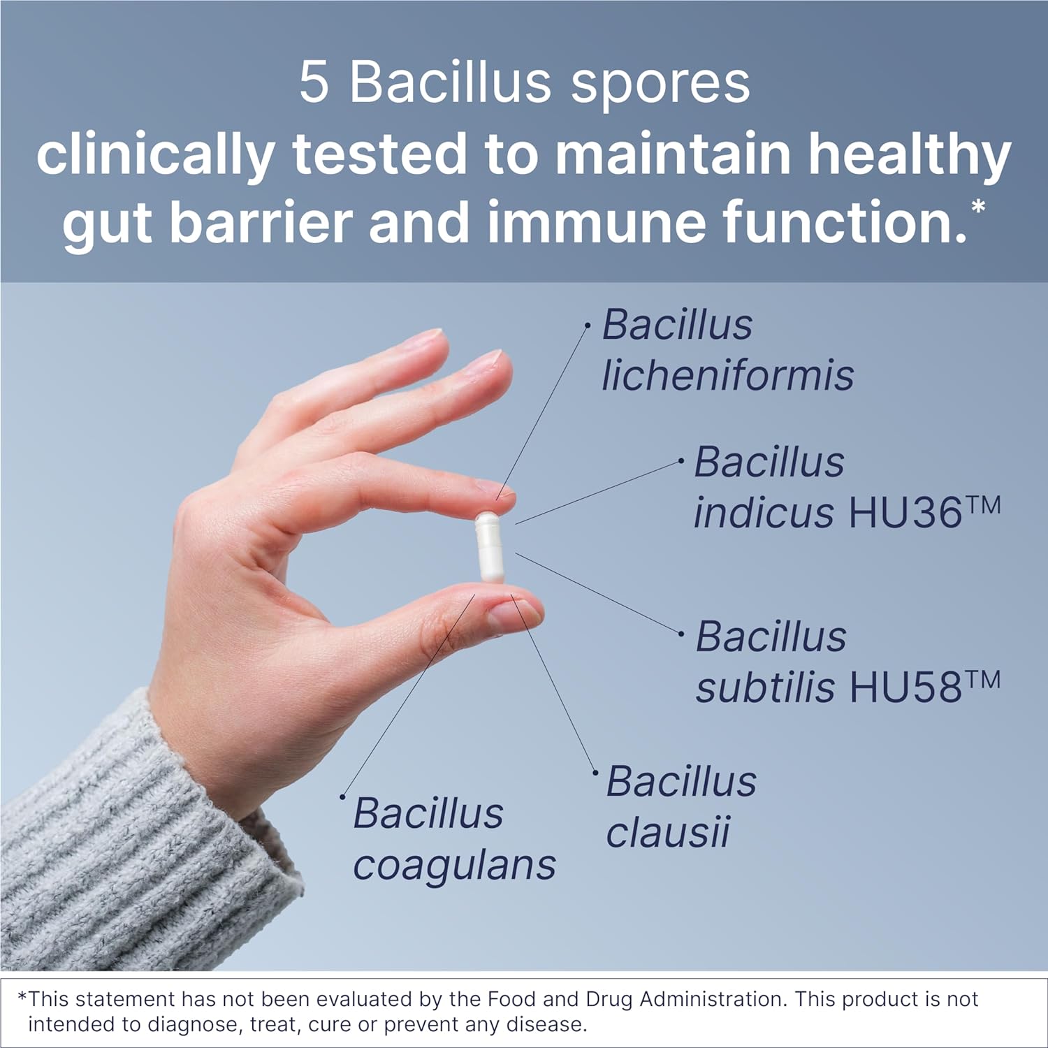 Microbiome Labs MegaSporeBiotic Probiotics for Digestive Health - Mens