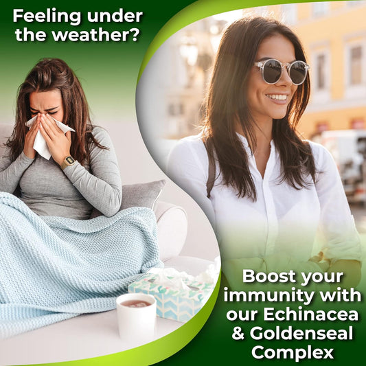 Echinacea Goldenseal Capsules - 10 In 1 Immune Support Supplement - 1455Mg - Vegan Echinacea Capsules Supplement Made Wi