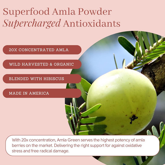Amla Green Tea Superfood Powder Supplement, Daily Greens Antioxidant B