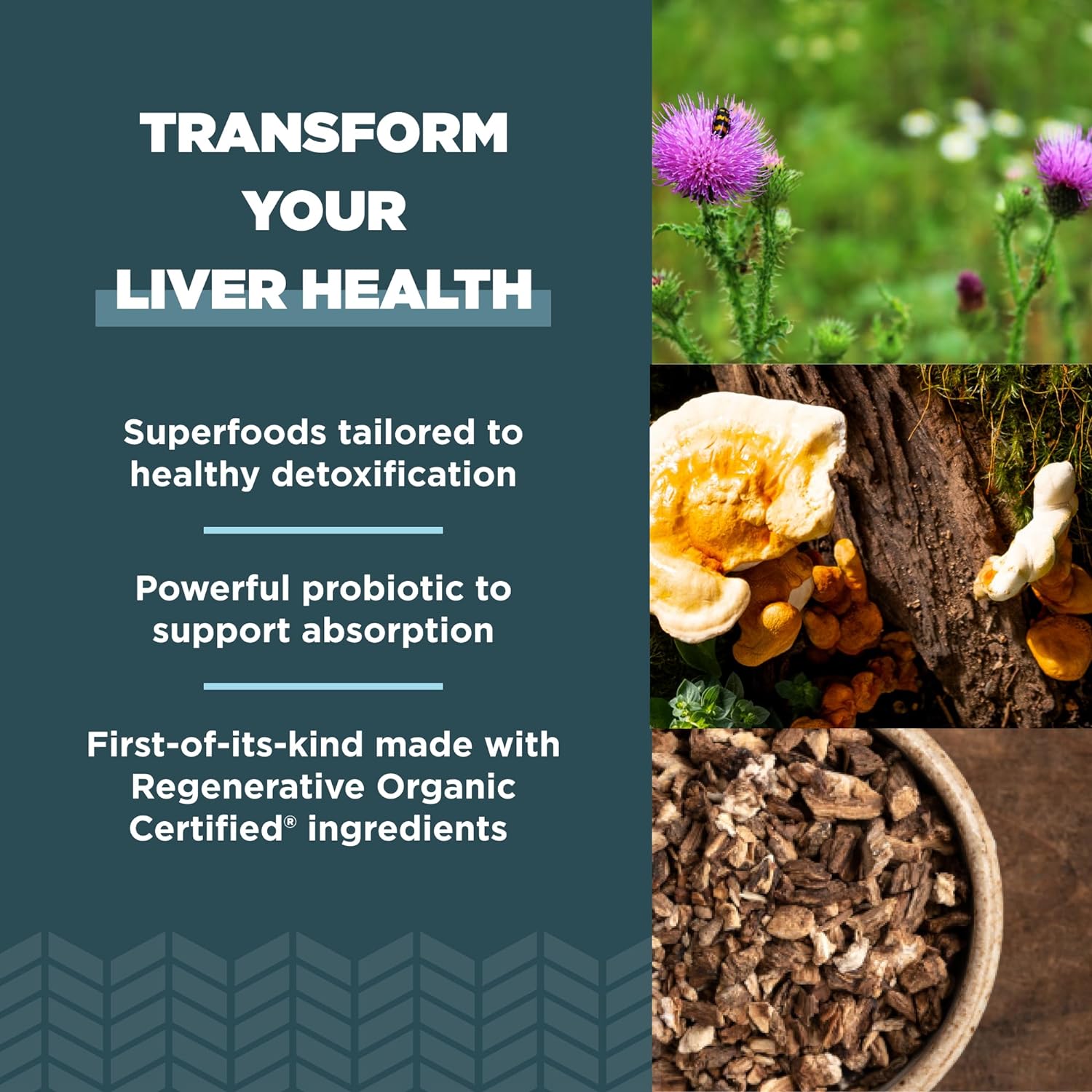 Ancient Nutrition Regenerative Organic Certified Liver Cleanse Supplem