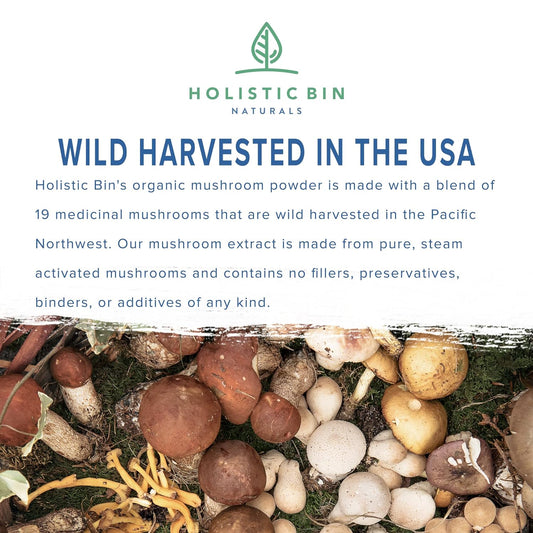 Holistic Bin Organic Mushroom Blend Powder 19 Wild Harvested Varieties