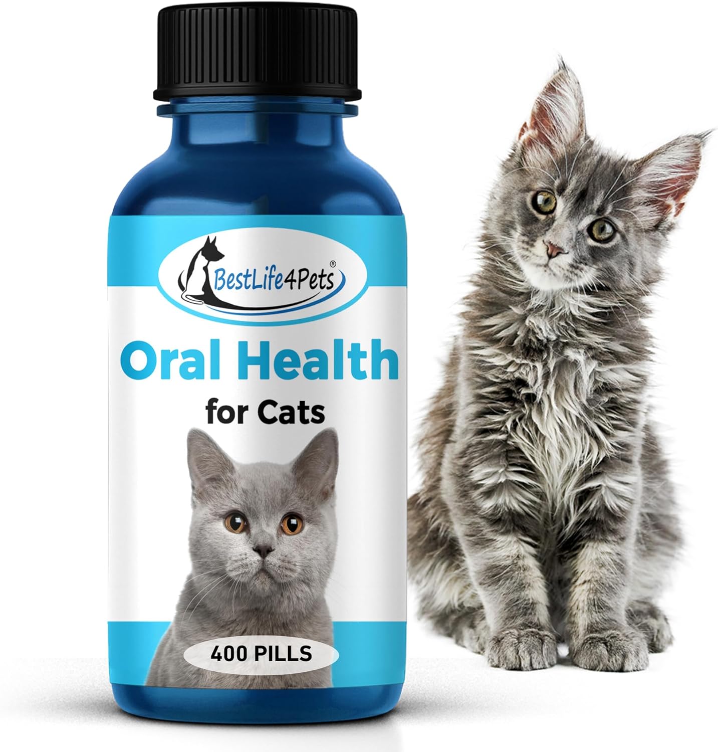 BestLife4Pets Oral Health for Cats - Cat Dental Care Supplement Anti inflammatory Pain Relief for Stomatitis Gingivitis