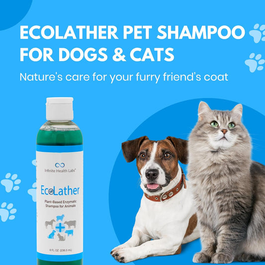 Infinite Health Labs EcoLather Dog Anti Itch Shampoo for Pets & Cats - Deep Cleansing, Odor Eliminating, Itch Relief, Mo