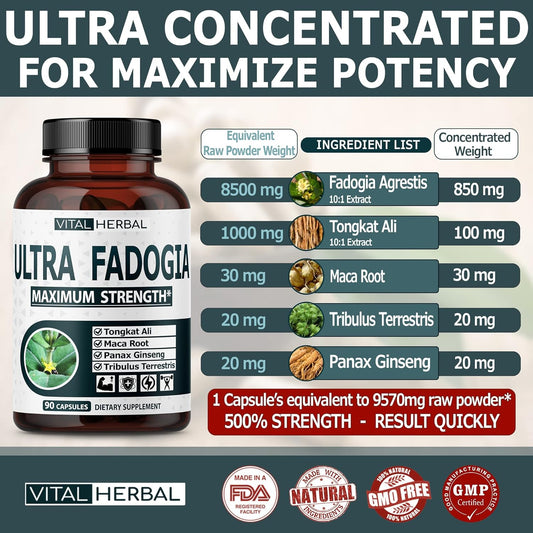 Ultra Fadogia Agrestis 10:1 Extract with Tongkat Ali Capsules - Equivalent to 9570 mg - Maximum Strength with Ginseng Ma