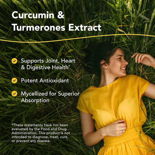 NORTH AMERICAN HERB & SPICE Turmeric Power-Plus - 120 Count - Curcumin