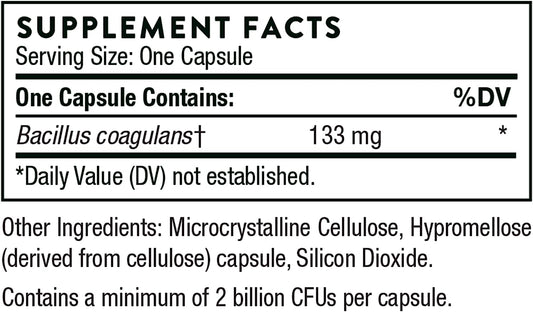 Thorne Bacillus Coagulans Probiotic - Shelf Stable Probiotic Supplement to Promote GI Health - 60 Capsules