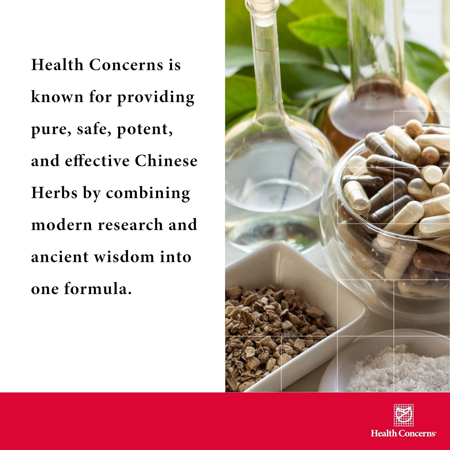 Health Concerns Power Mushrooms - Immunity System & Energy Boost Suppl