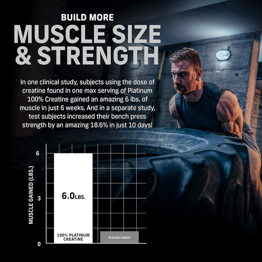 Creatine Monohydrate Powder | MuscleTech Platinum | Pure Micronized |