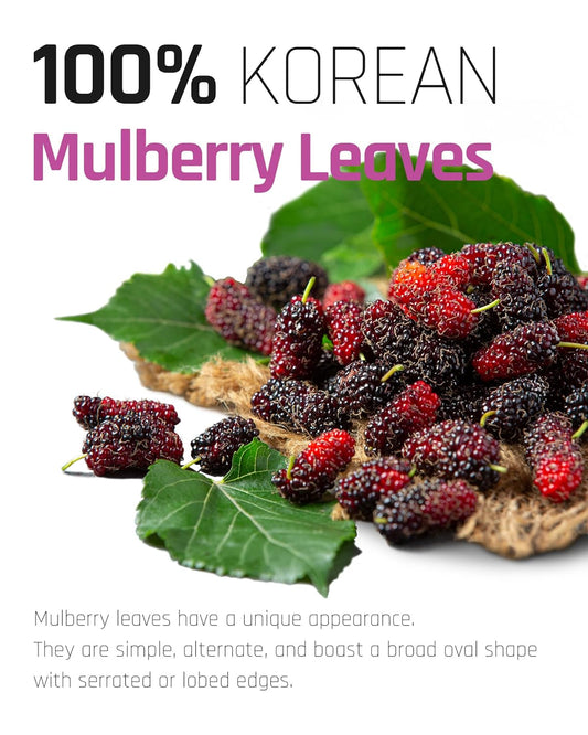 Mulberry Leaves Tea 1g X 40 Tea Bags, Korean Herb Leaves