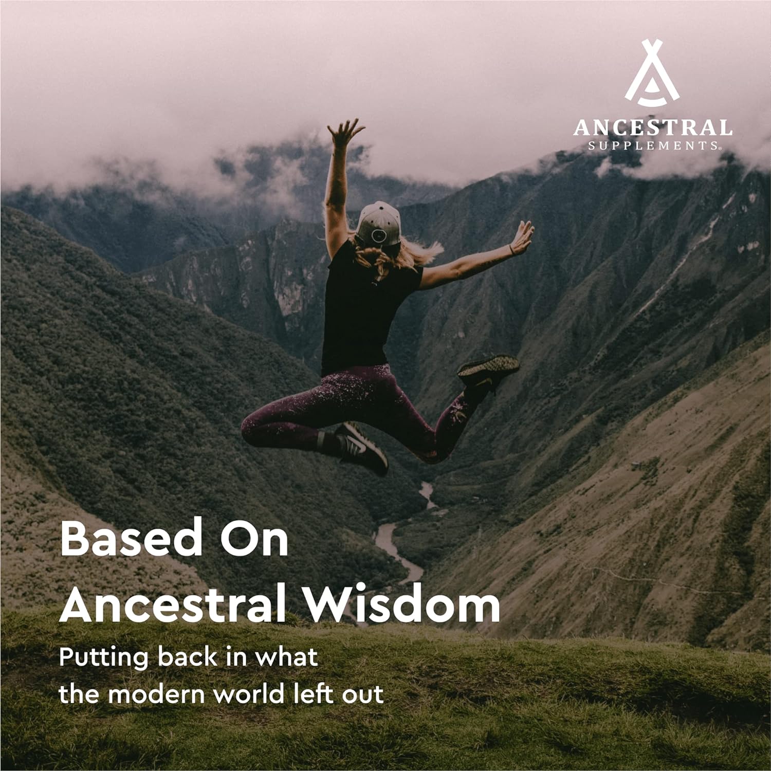 Ancestral Supplements Grass Fed Beef Pancreas Supplement, 50