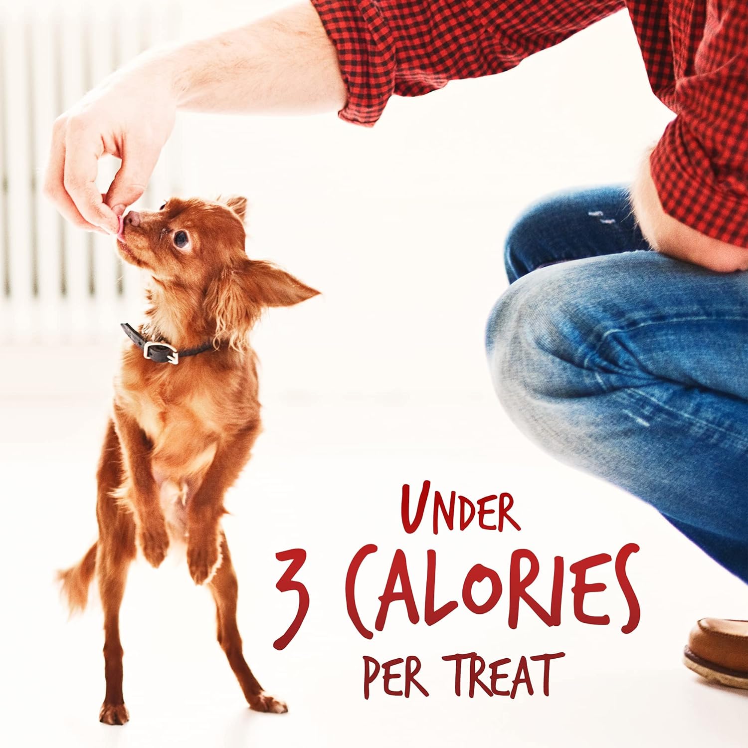 Fruitables Skinny Mini – Healthy Treats for Dogs – Low Calor