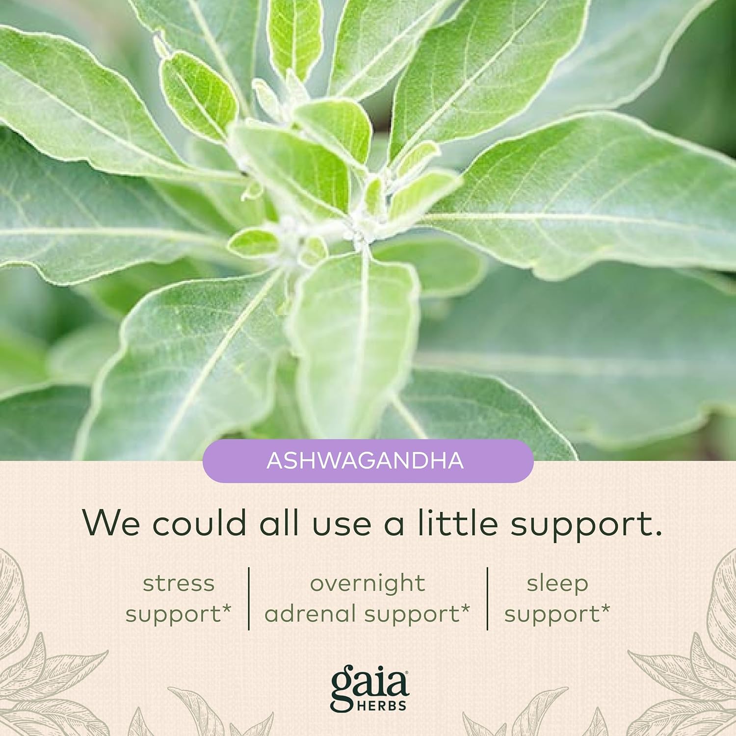 Gaia Herbs Adrenal Health Nightly Restore - Herbal Supplemen