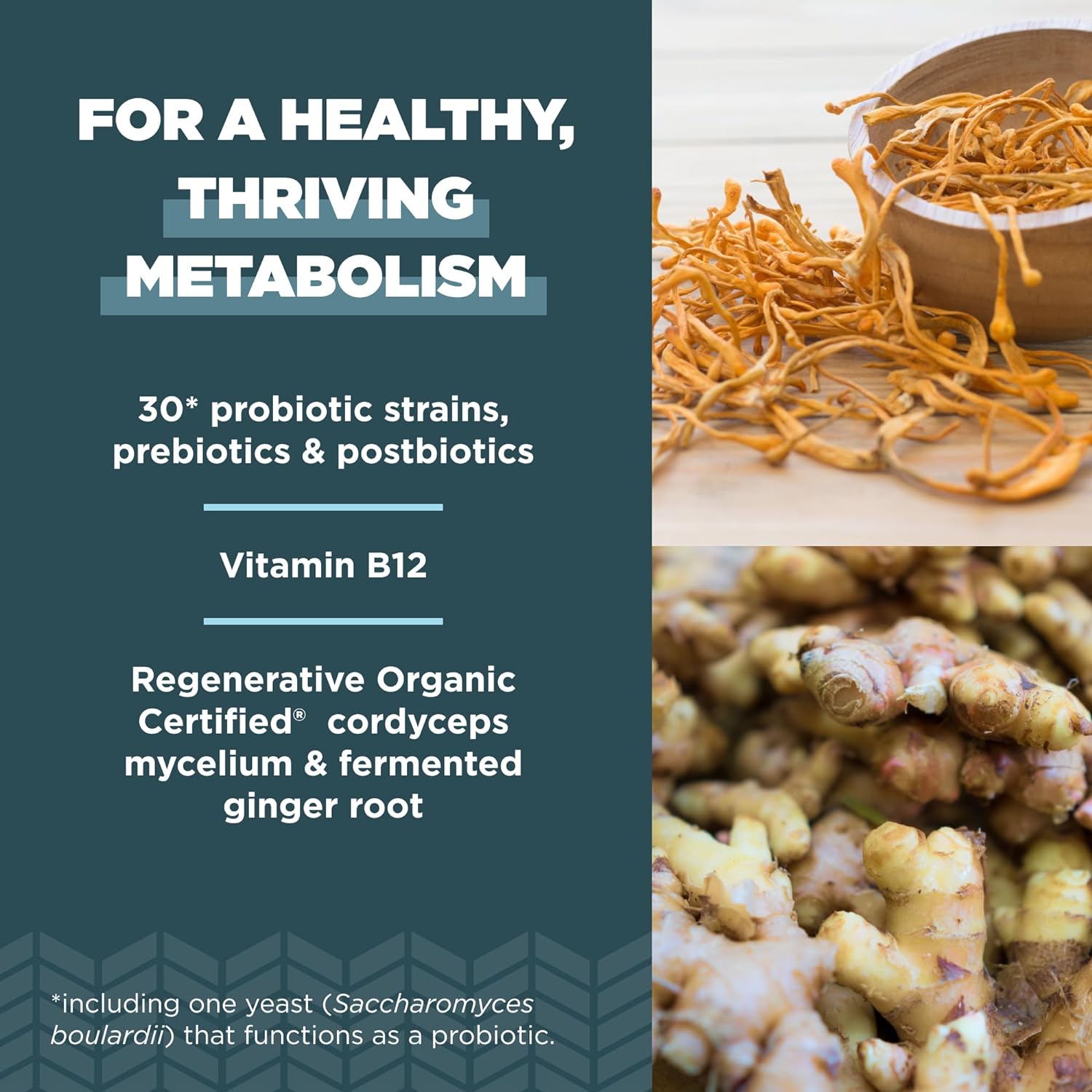 Ancient Nutrition Regenerative Organic Certified Probiotics for Metabo