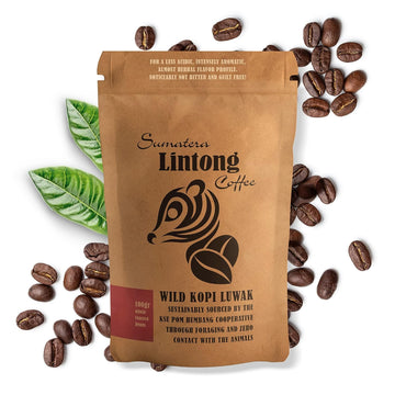 Wild Kopi Luwak, the World’s Most Exclusive Coffee, Sustainably Sourced From Sumatra, Indonesia (100gr )