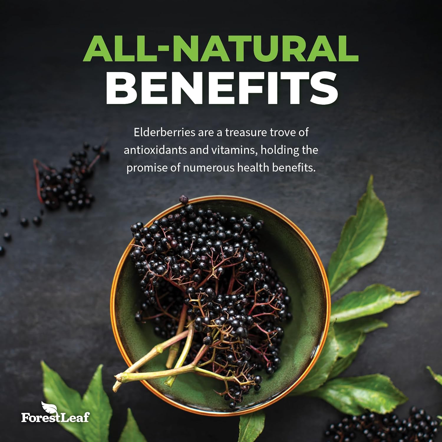  ForestLeaf Sambucus Elderberry with Vitamin C and Zinc - 90