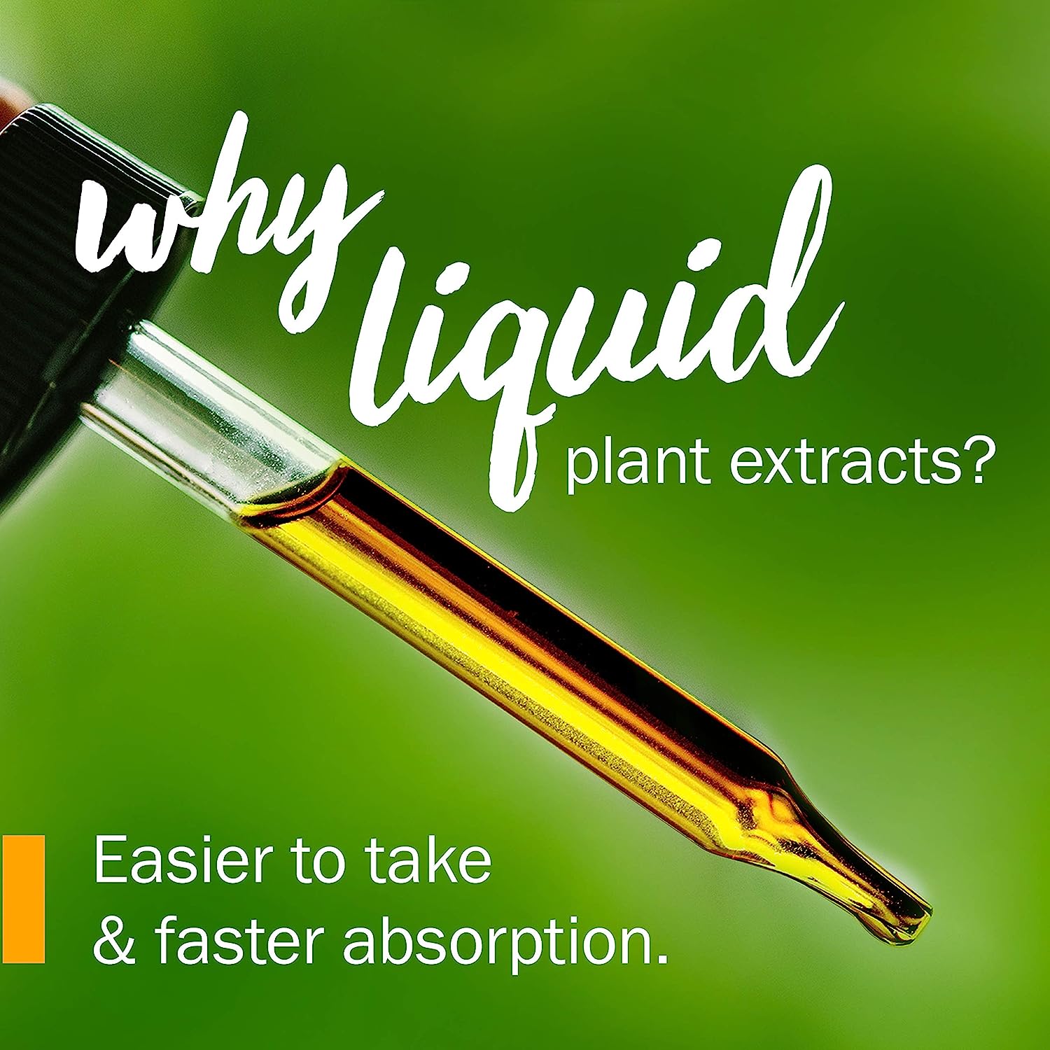 Herb Pharm Certified Organic Astragalus Liquid Extract for Immune Syst
