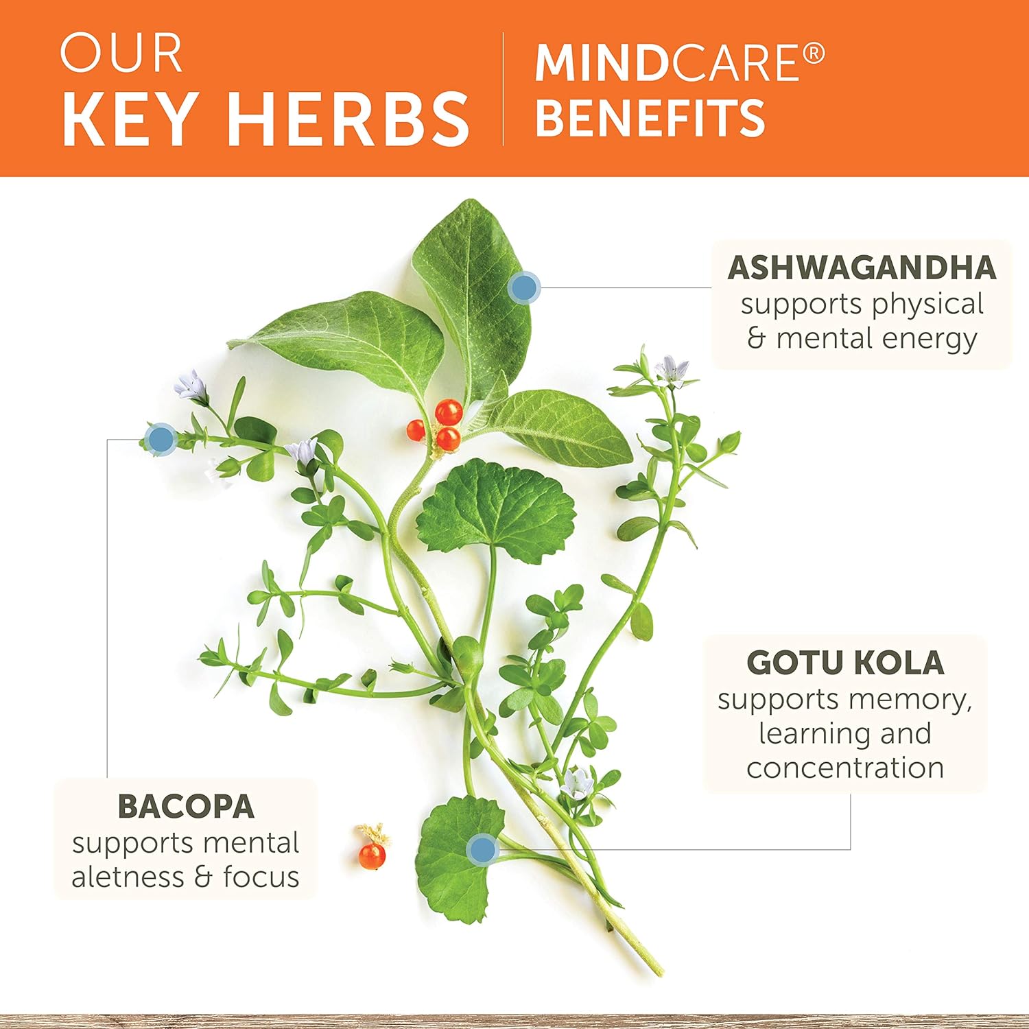 Himalaya MindCare/Mentat, Herbal Memory Supplement, Mental Sharpness, 