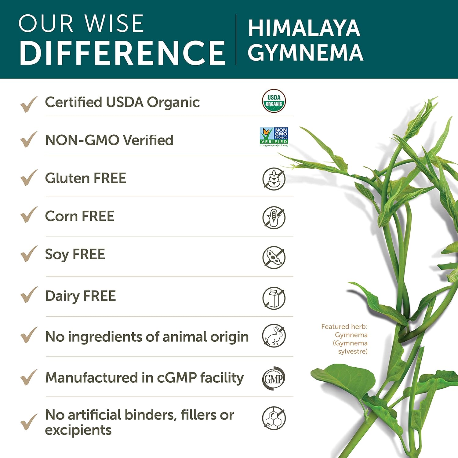 Himalaya Organic Gymnema Sylvestre for Glucose Metabolism, 700 mg, 60 