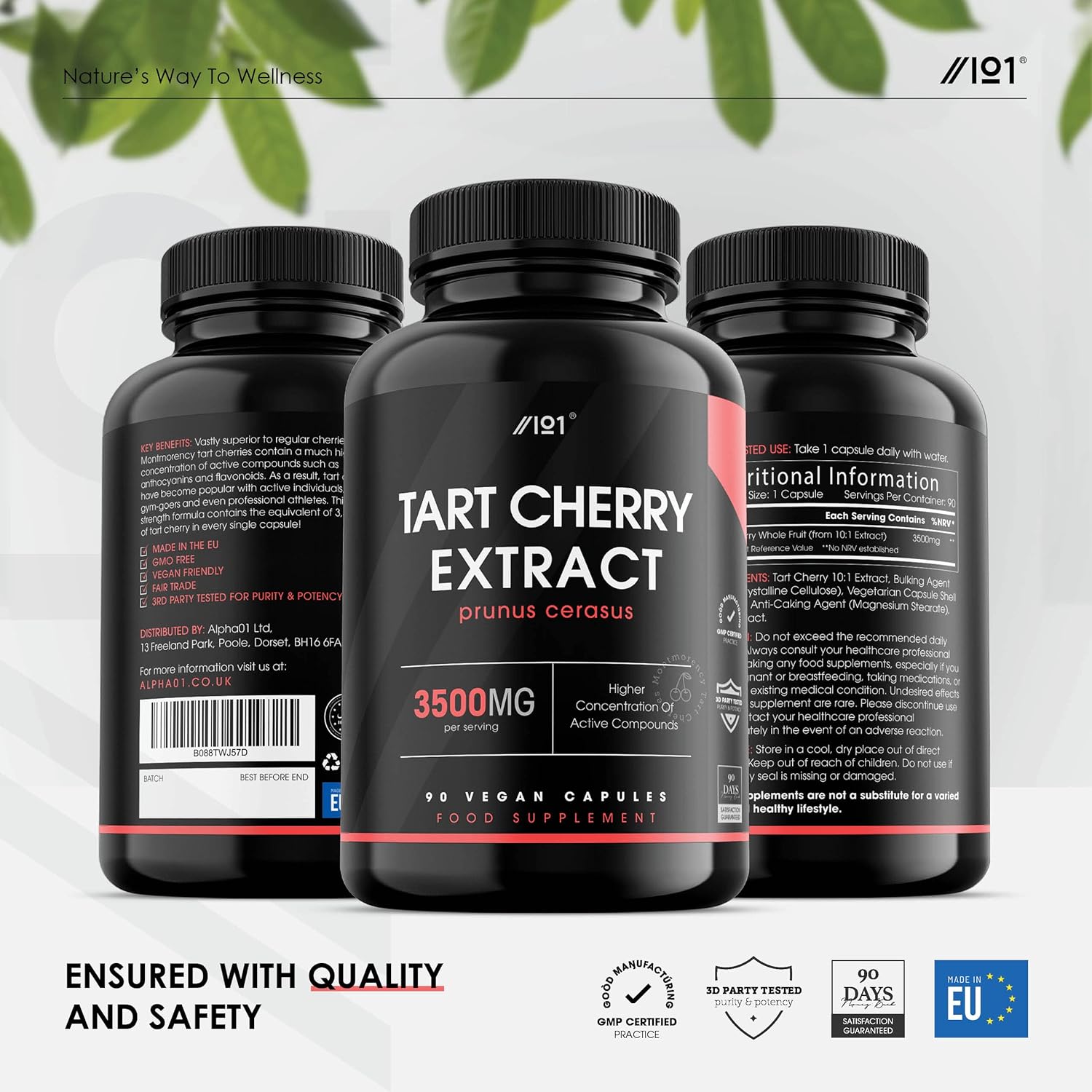 Montmorency Cherry 3500mg - High Strength Tart Cherry Extract - Antiox