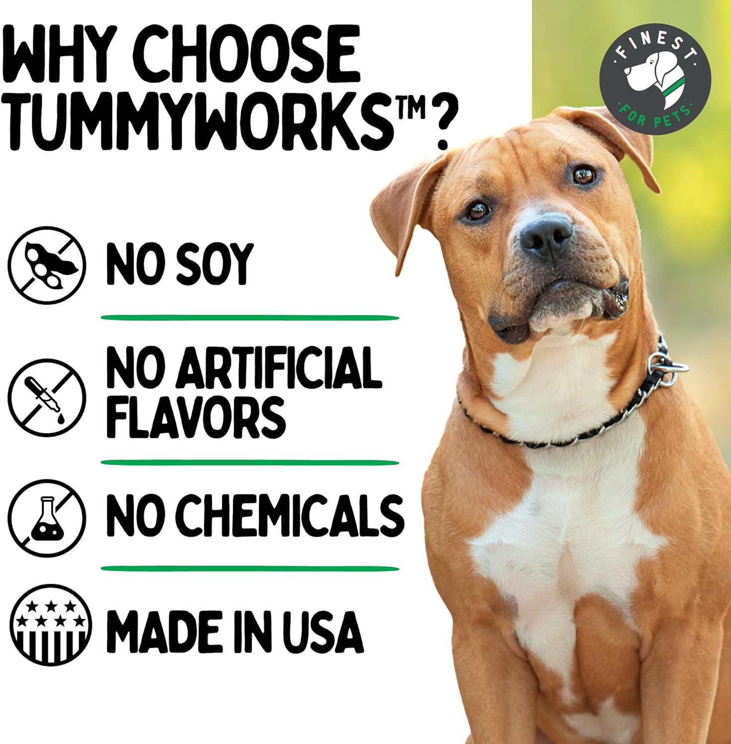TummyWorks Probiotic Soft Chews for Dogs. Probiotics for Gut