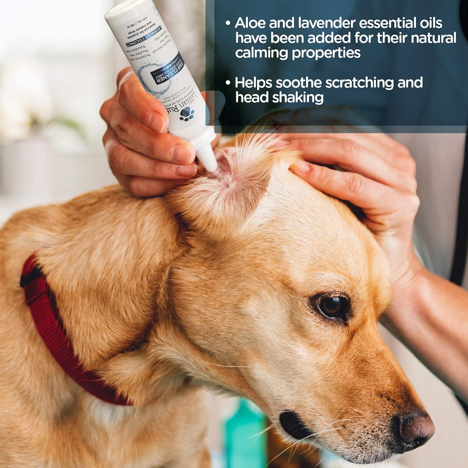 Lillian Ruff Ear Cleaner & Otic Wax Solvent for Dogs with Te