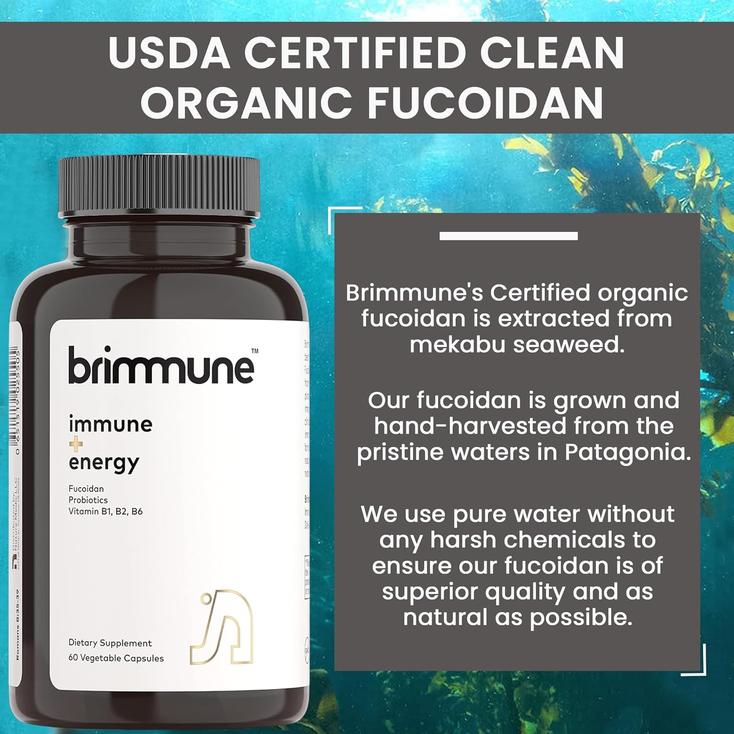 Brimmune Organic Fucoidan 500 mg USDA Certified Organic and Pure Atlan