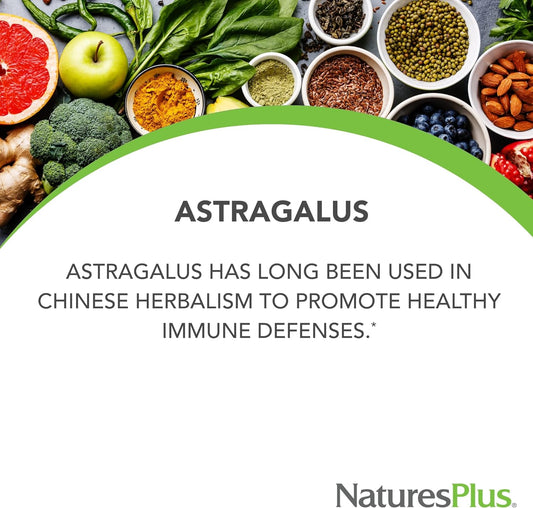 NaturesPlus Herbal Actives Astragalus - 450 mg, 60 Vegan Capsules - 60