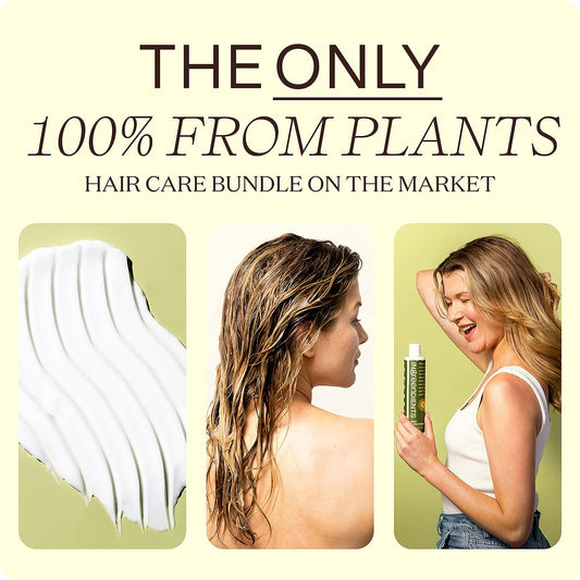 Ingreendients Vegan Shampoo and Conditioner Sulfate Free with Organic Ingredients, Apple Cider Vinegar and Tea Tree Oil - Color Safe, Paraben Free, Gluten Free, Silicone Free, pH Balanced, Organic Shampoo and Conditioner Set