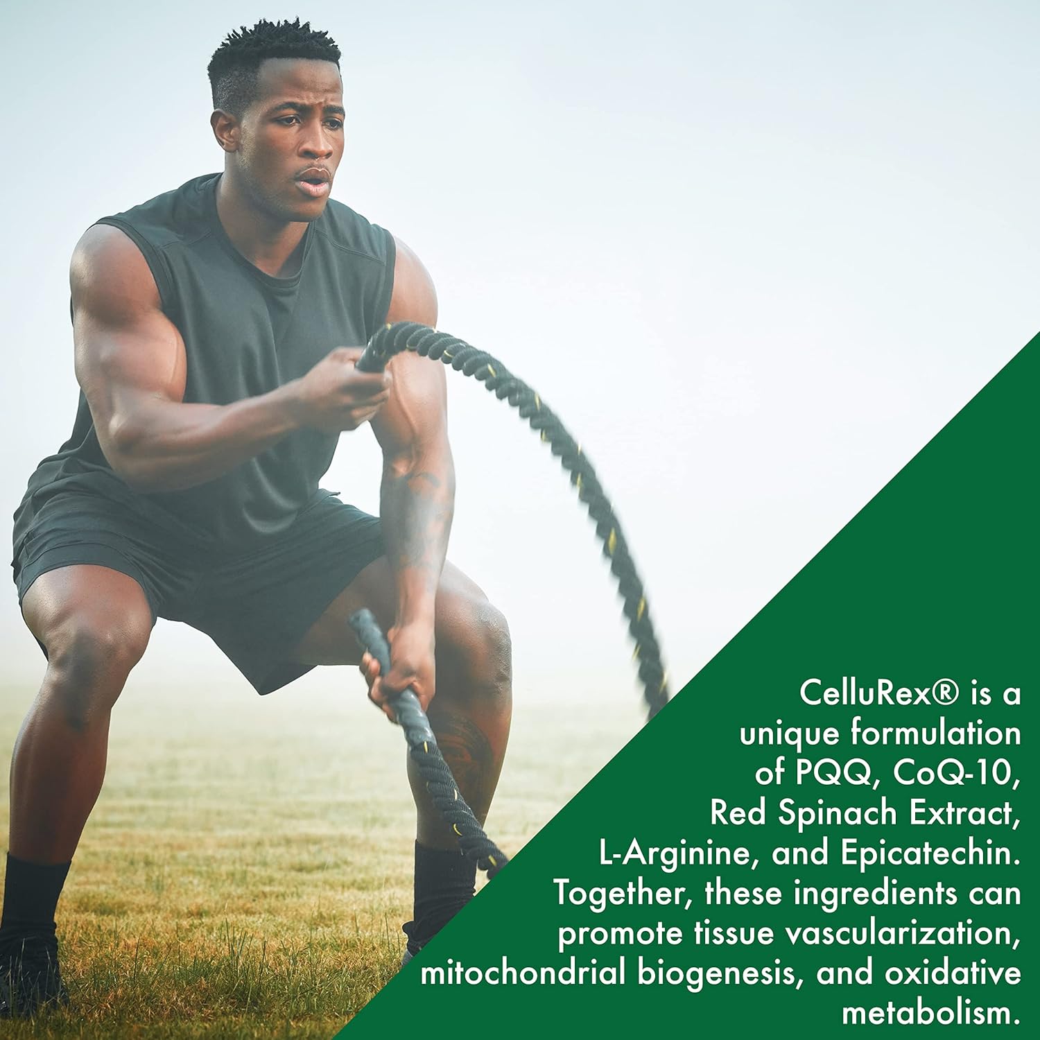 Health Thru Nutrition CelluRex with High Absorption CoQ-10, PQQ & More