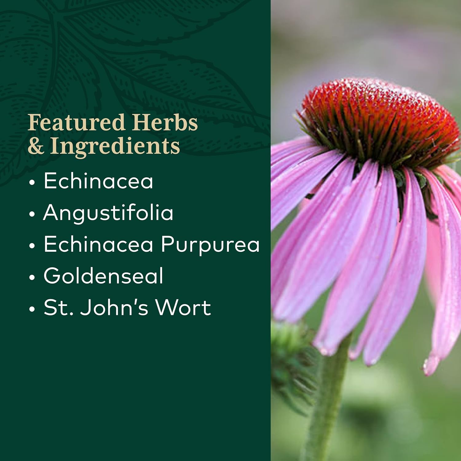 Gaia PRO Echinacea Goldenseal - Supports Immune & Lung Health - with E