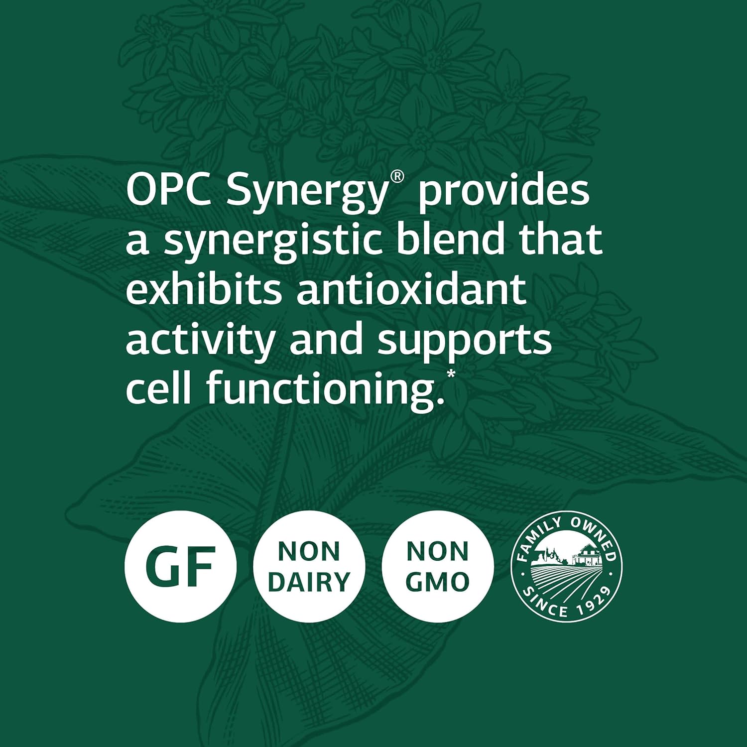 Standard Process OPC Synergy - Whole Foods Cognitive Health, Brain Hea