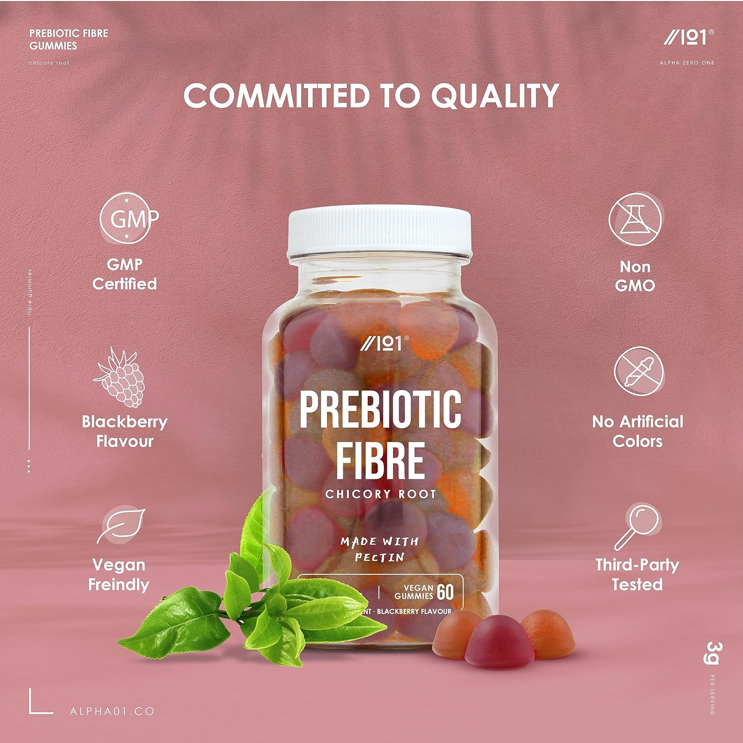 Prebiotic Fibre Gummies - 3g - Chicory Root Inulin, BlackBerry, Strawb