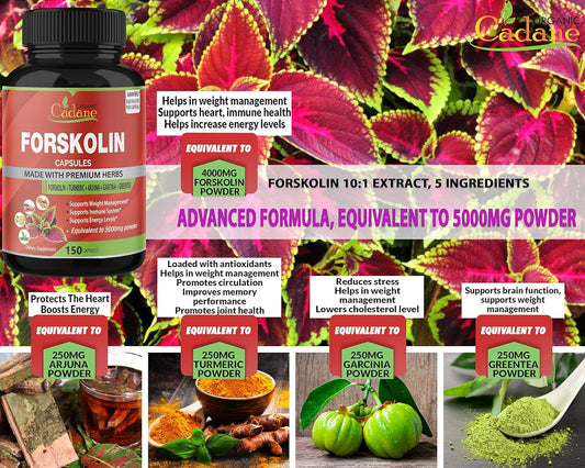 Forskolin Supplements Capsules 5000Mg, 5 Month Supply, 150 Capsules & Turmeric Curcumin, Arjuna, Garcinia Cambogia, Gree