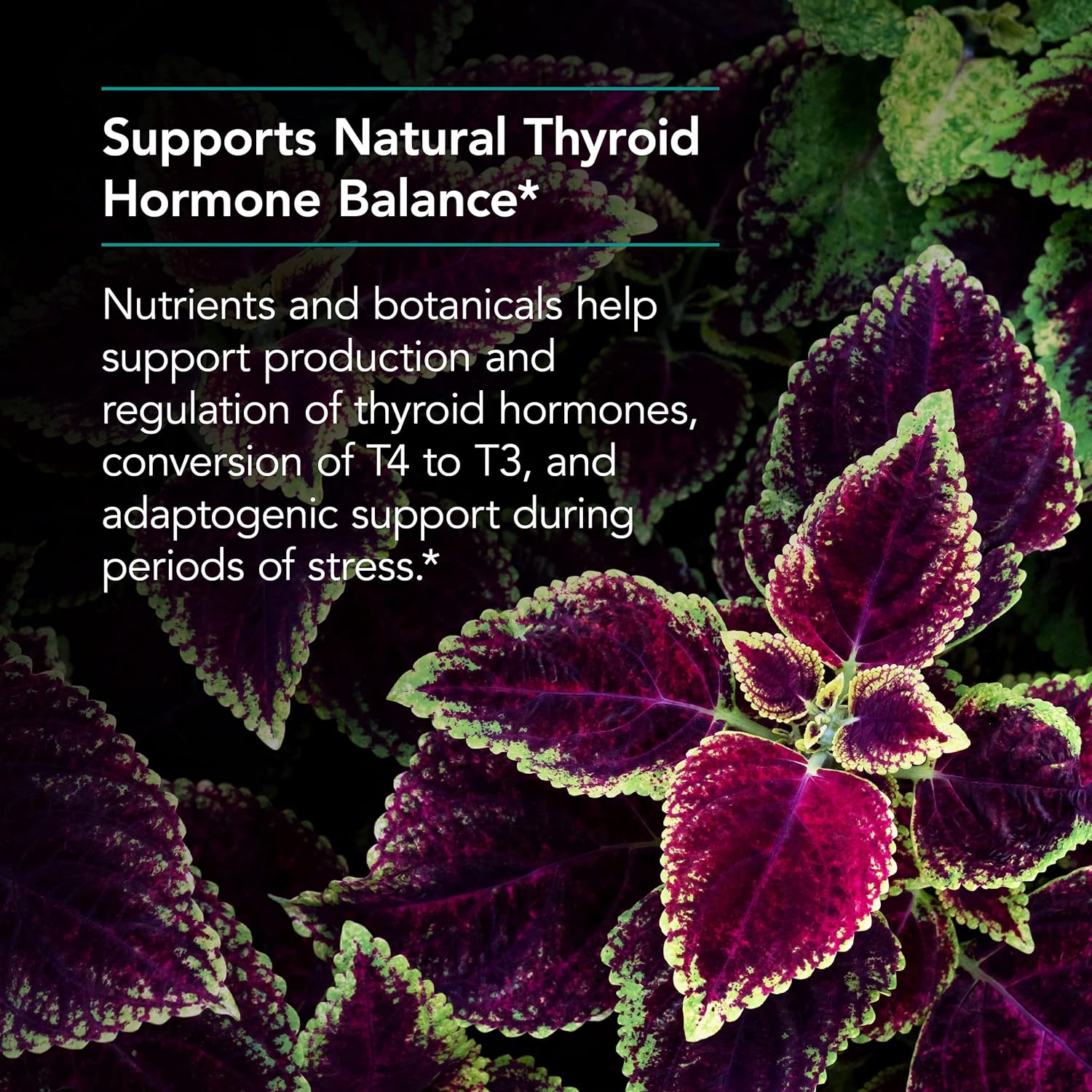 Nutricology Essential Thyroid Nutrition with Iodoral - Support Healthy