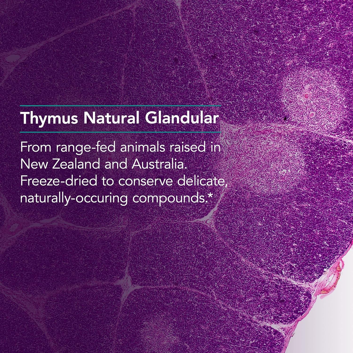 Nutricology Thymus, Vegicaps, 75-Count