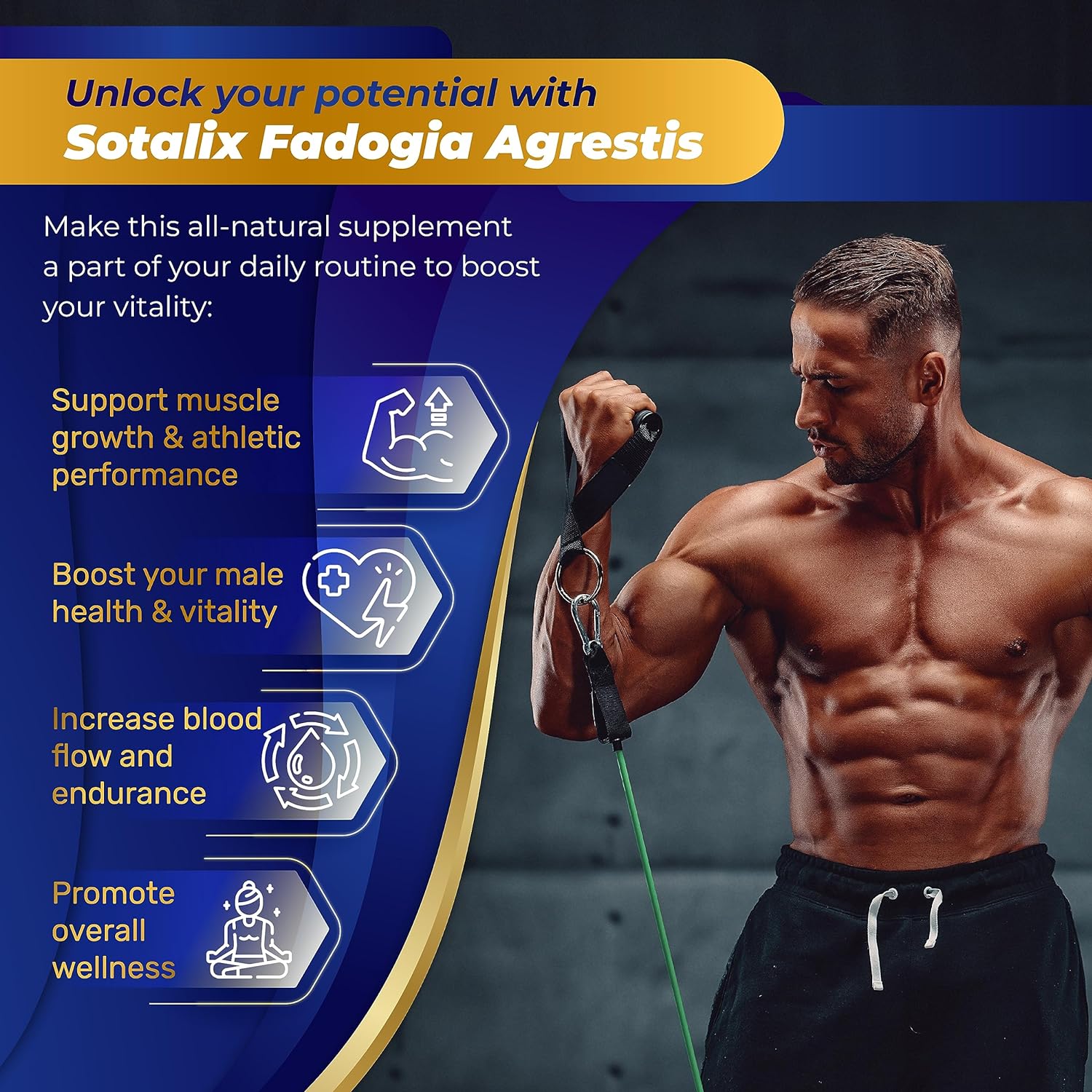  SOTALIX SUPPLEMENT High Strength Fadogia Agrestis Capsules 