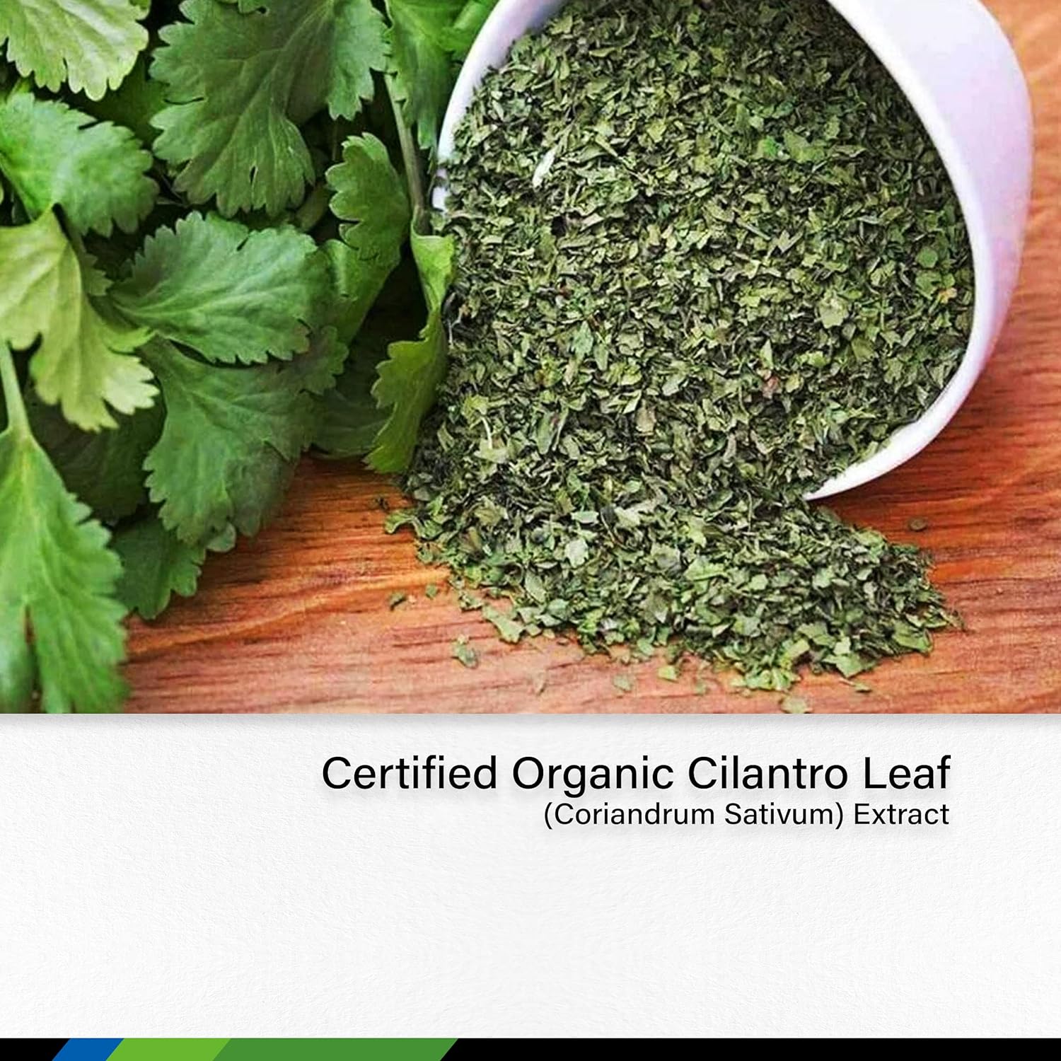 MAUWE HERBS Cilantro Supplement - Organic Cilantro Leaf Liquid Extract