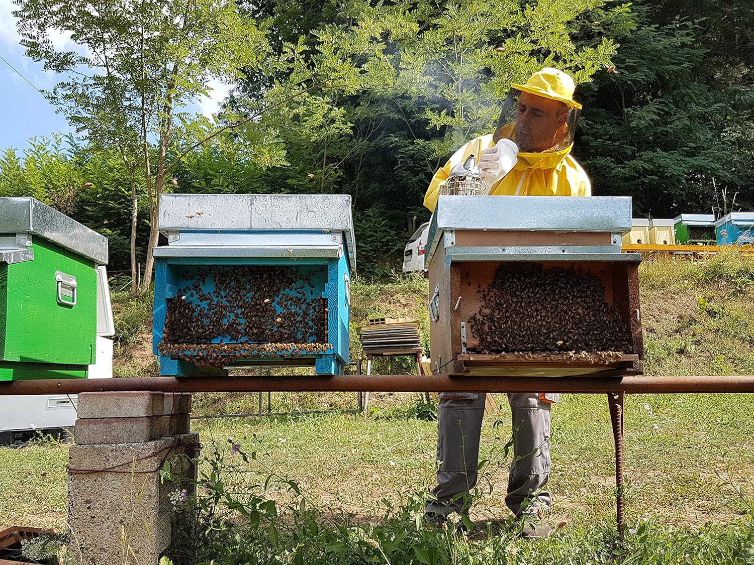 Giannetti Artisans Unpasteurized Chestnut Honey from Tuscany